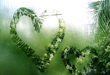 德甲转会风云：广厦男篮盯上锋线强援，苏炳添或成交易筹码的简单介绍